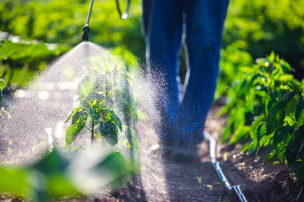 Outdoor Pest Control in North Ogden, UT